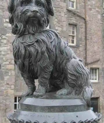 /images/tich/greyfriars_bobby_319.webp